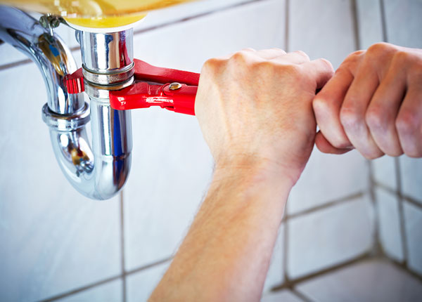 About Rex Plumbers